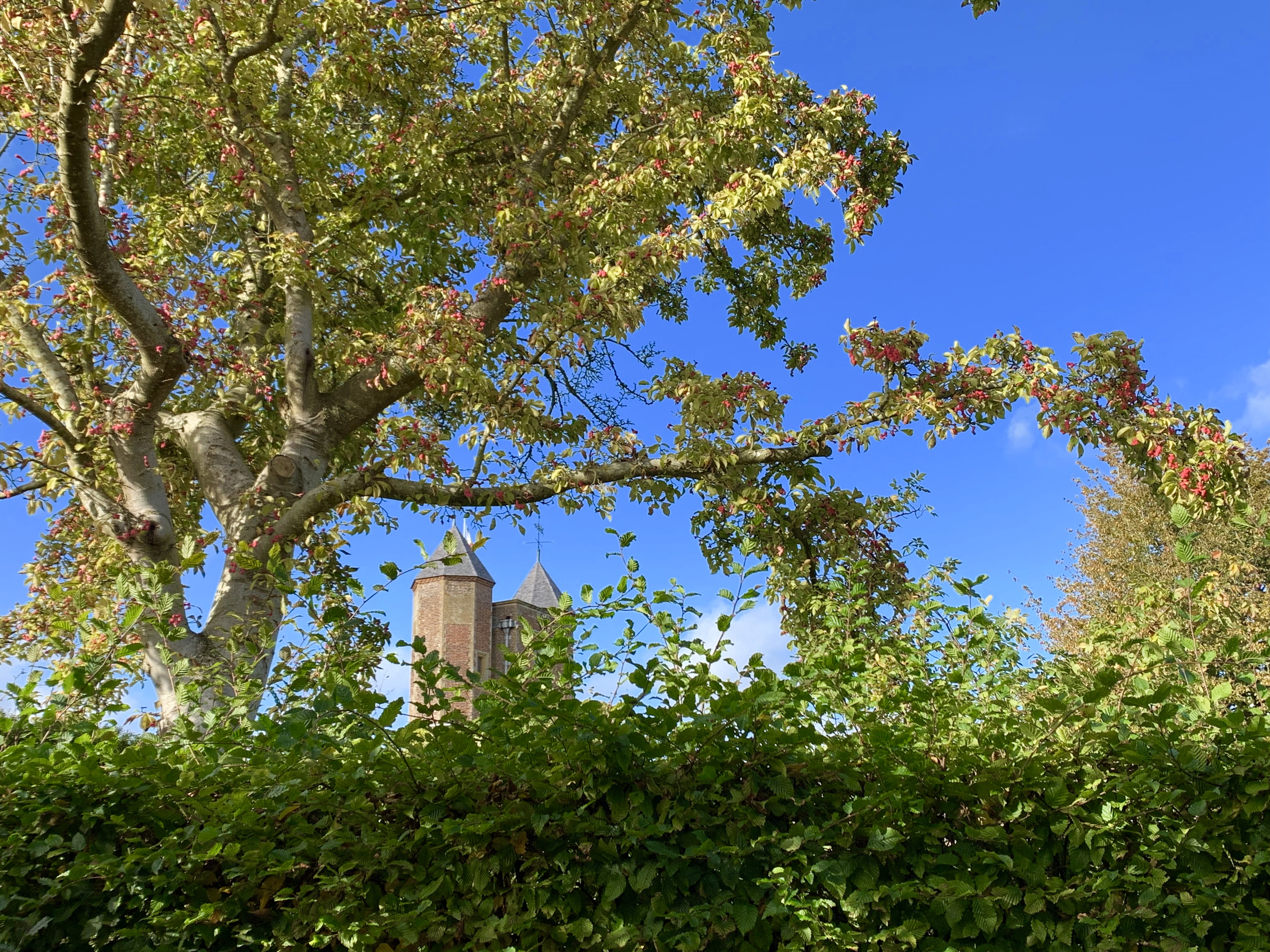 Gardens and Castles of Kent
