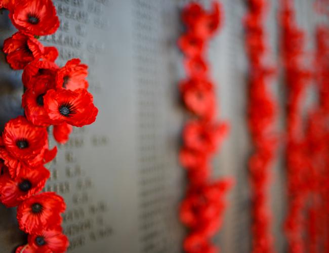 ANZAC Day Poppies