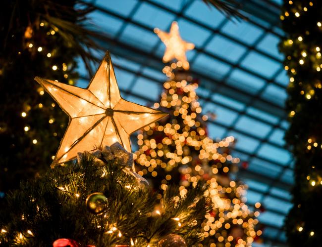 close up of yellow christmas star