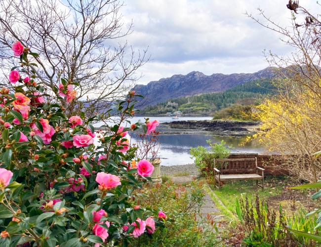 Plockton View