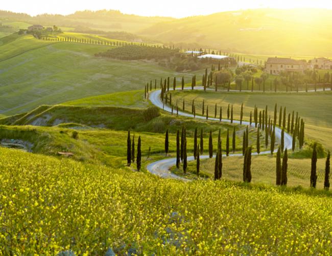 Tours of Tuscany with [site:name]