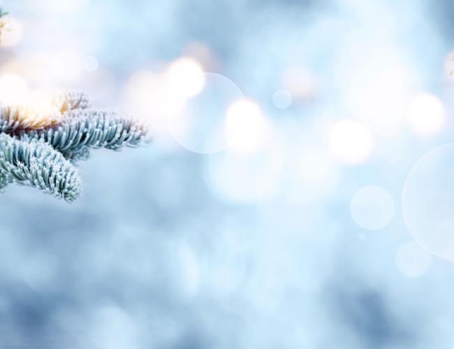 Christmas Tours of Europe with [site:name]