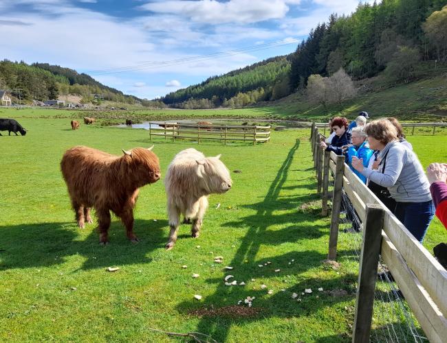 A Scottish Journey