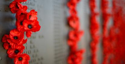 ANZAC Day Poppies