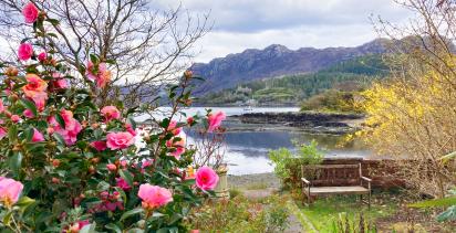 Plockton View