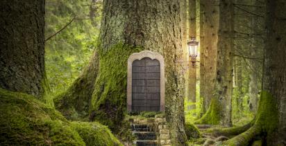 tiny door and steps in a forest tree trunk lit by a small lantern
