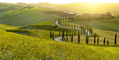 Tours of Tuscany with [site:name]