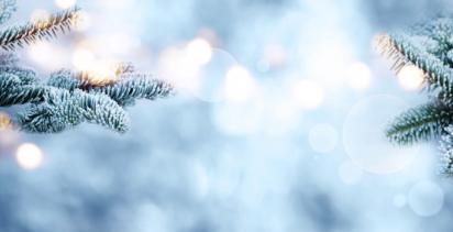 Christmas Tours of Europe with [site:name]