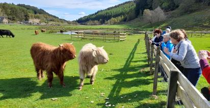A Scottish Journey