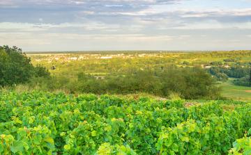 Paris to Nice through Vineyards and Mountains