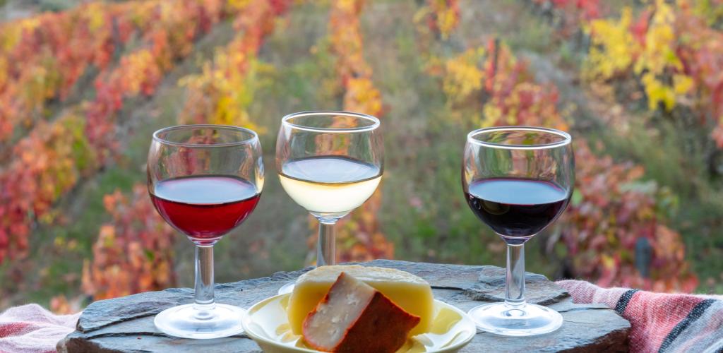 wine and cheese with vineyard background