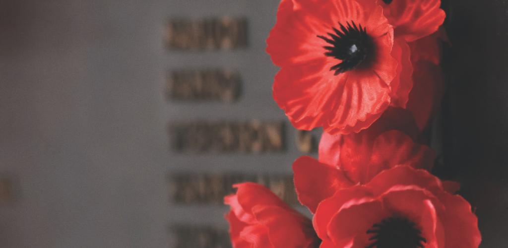 poppies_on_memorial