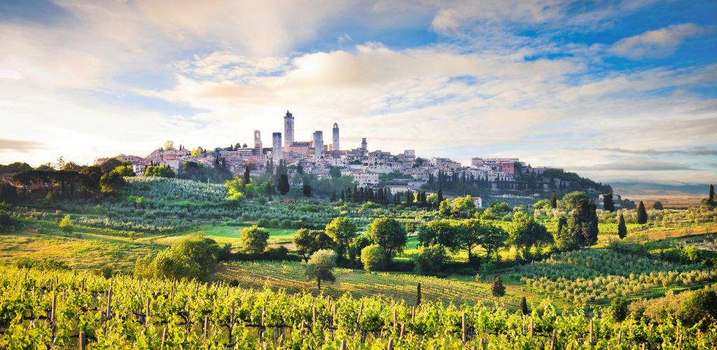 Landscape of vineyards and San Gimignano