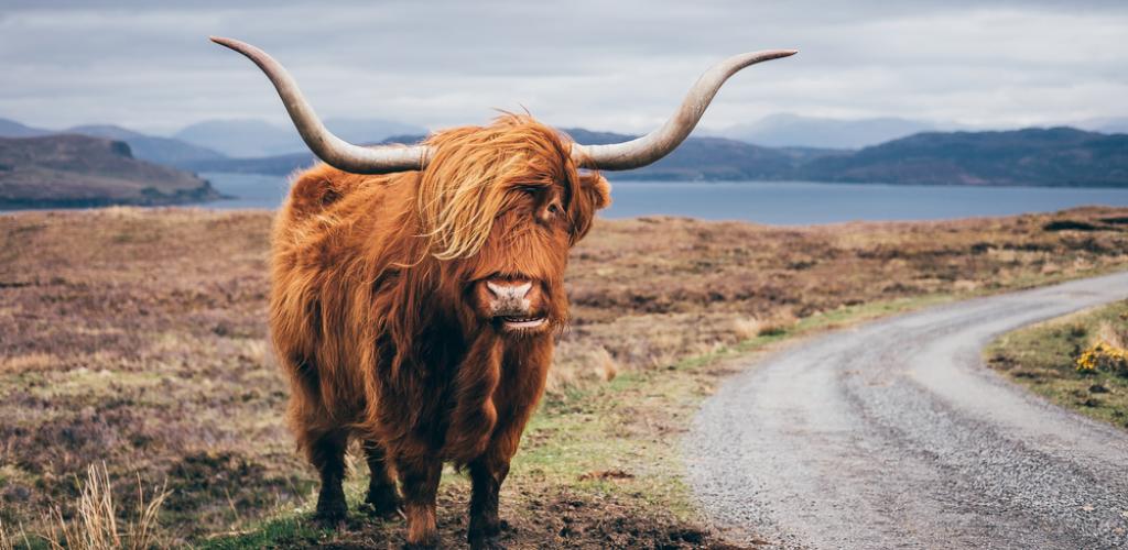 Tours of theScottish Highlands